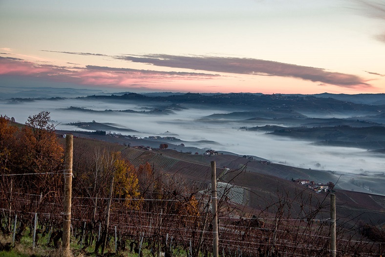 Giulia Negri vignoble