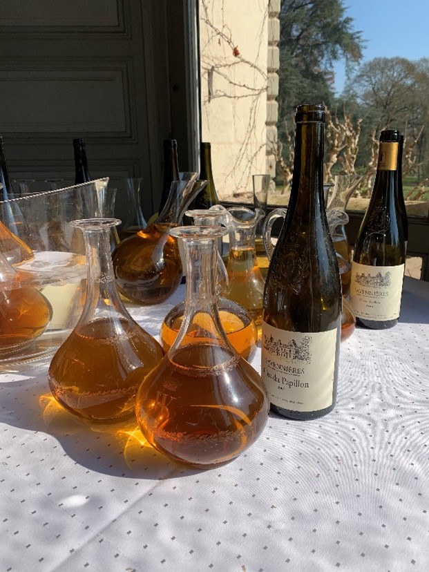 Savennières dégustation Clos du Papillon vin iDealwine carafage