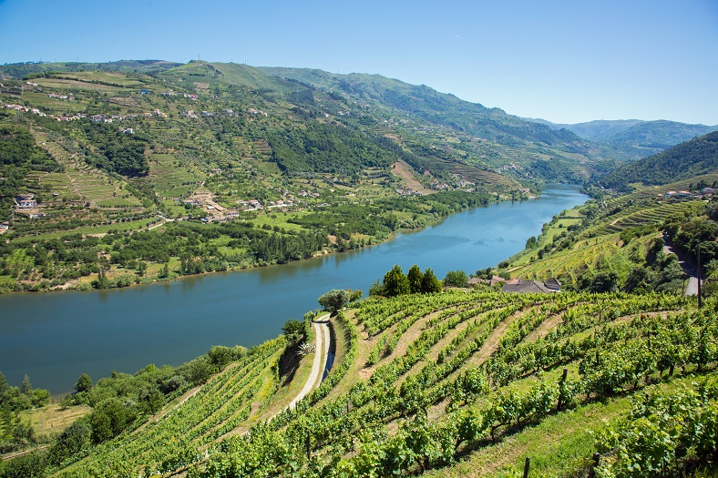 Vins étrangers en vente iDealwine