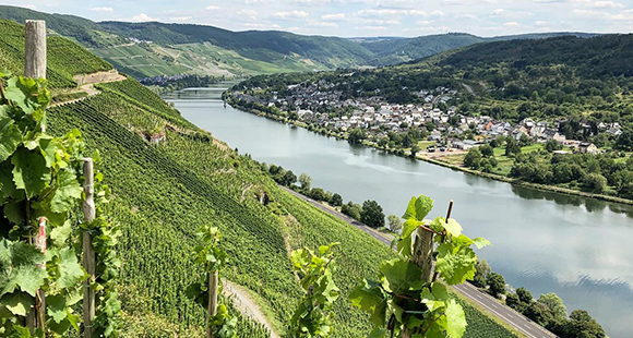 Markus Molitor vins blancs riesling Moselle fleuve vignes pentes