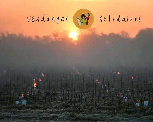 Lire la suite à propos de l’article Vendanges Solidaires : 34 213€ récoltés sur iDealwine en soutien aux vignerons