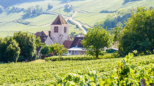 Lire la suite à propos de l’article Guide du vignoble de Champagne