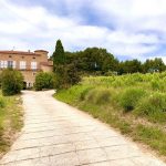 Bandol | Domaine de la Tour du Bon, confidentiel et passionnant