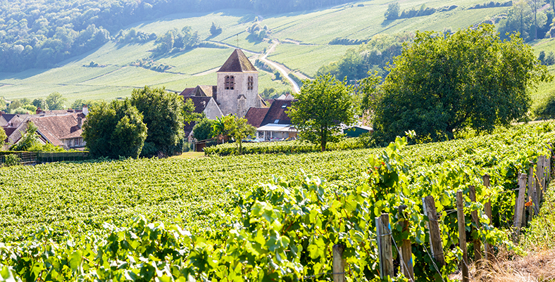 Guide-vignoble-champagne