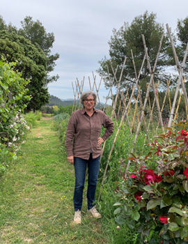 Domaine de la Tour du Bon vigneron 