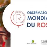 Les chiffres à connaître sur le marché des vins rosés