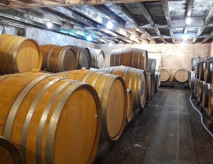 Patrick Baudouin Anjou vinification et élevage