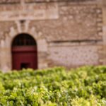 Château Pavie Macquin, une âme de précurseur et d’artisan à Saint-Emilion