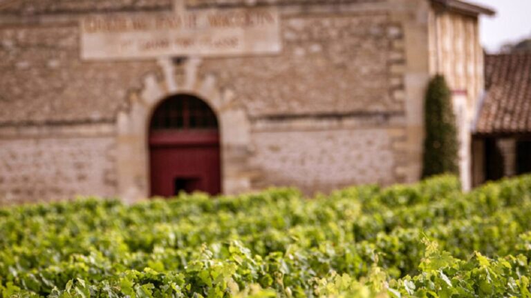 Lire la suite à propos de l’article Château Pavie Macquin, une âme de précurseur et d’artisan à Saint-Emilion