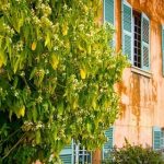 Château Pradeaux | De grands vins de garde au cœur de la Provence