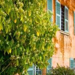 Château Pradeaux | De grands vins de garde au cœur de la Provence