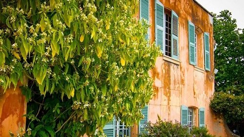 Lire la suite à propos de l’article Château Pradeaux | De grands vins de garde au cœur de la Provence