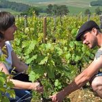 Champagne Val Frison | Le triomphe du pinot noir
