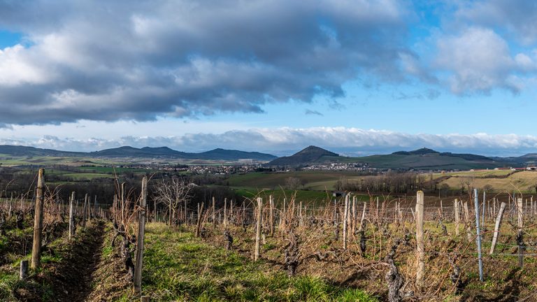 Lire la suite à propos de l’article Patrick Bouju, chef de file de la renaissance du vignoble auvergnat