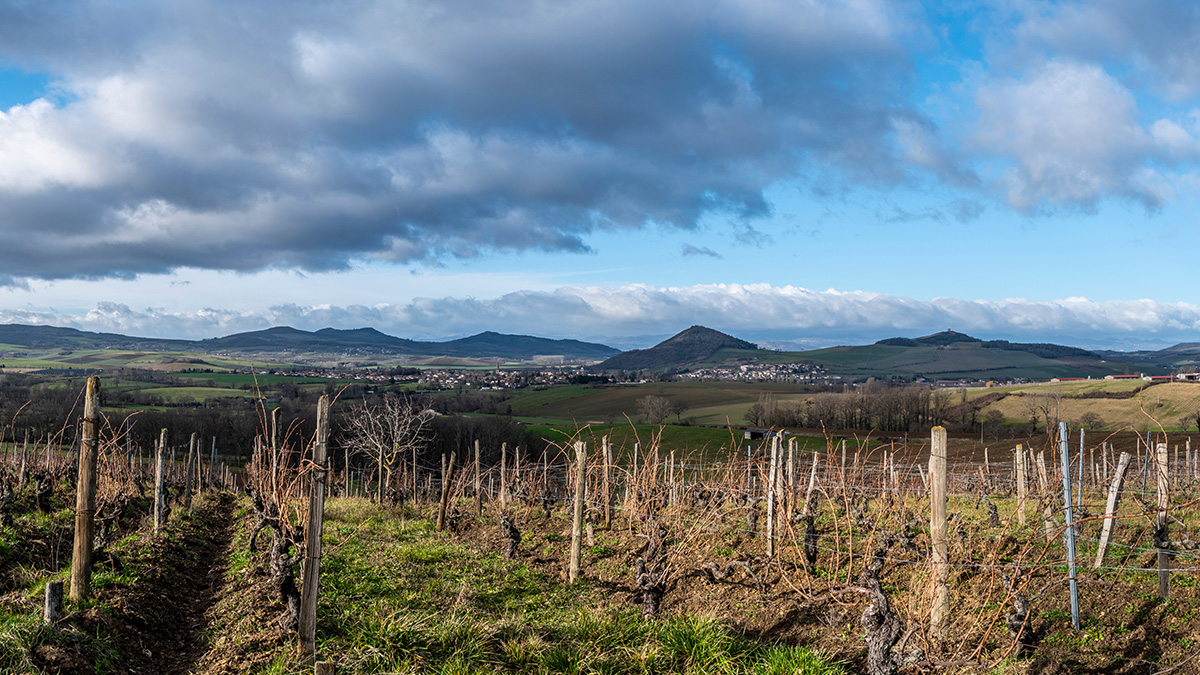 Lire la suite à propos de l’article Patrick Bouju, chef de file de la renaissance du vignoble auvergnat