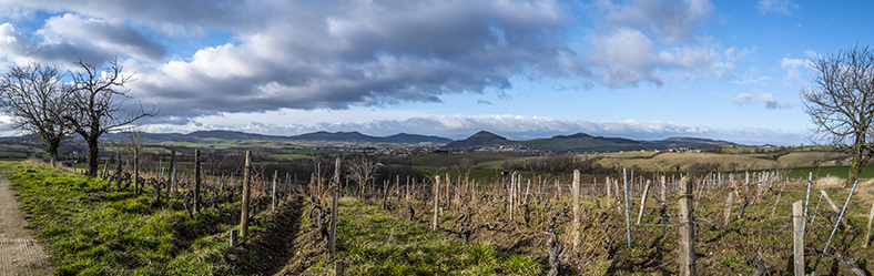 Patrick Bouju renaissance vignoble auvergnat iDealwine