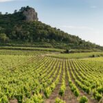 Château de Roquefort : une sublime découverte en Provence