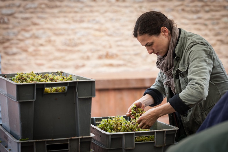 Domaine Ferret vin Bourgogne Pouilly-Fuissé iDealwine