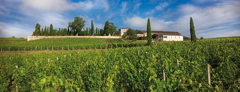 Une nouvelle page s’ouvre au Château de Carles iDealwine vignes