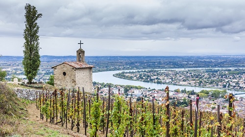 Lire la suite à propos de l’article Palmarès Rhône | Les plus belles enchères du 1er semestre 2021