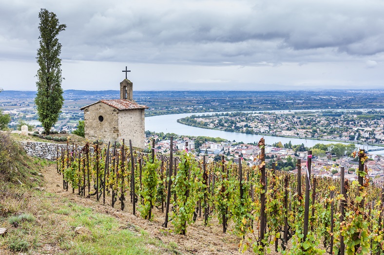 Palmarès Rhône iDealwine Les plus belles enchères du 1er semestre 2021