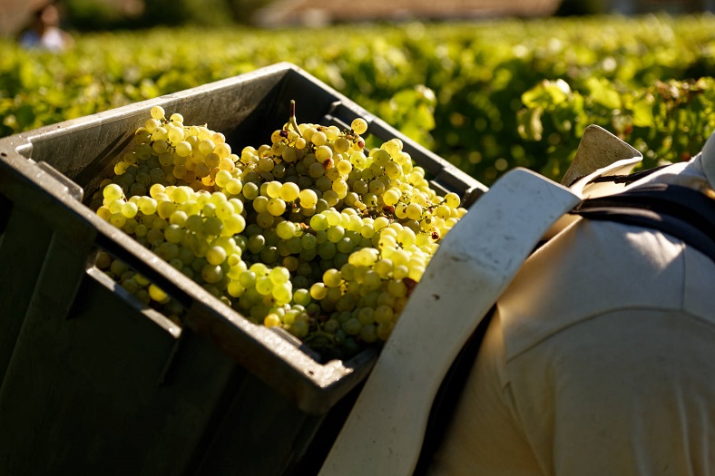 Clos des Lunes bordeaux blanc