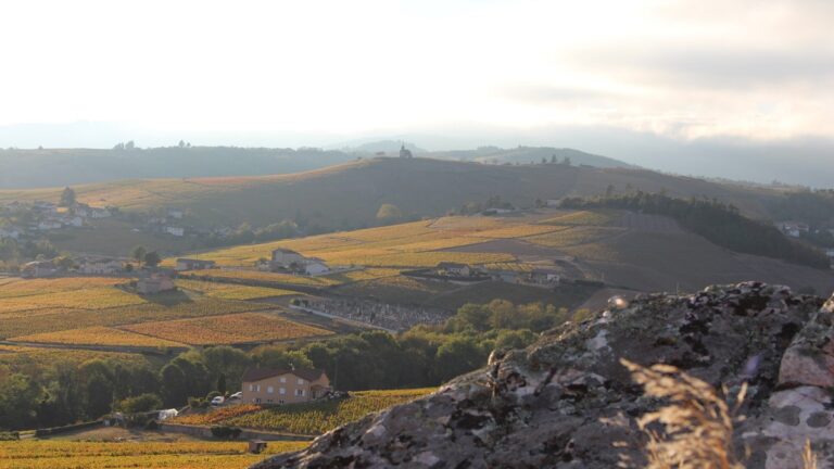 Lire la suite à propos de l’article Domaine Grégoire Hoppenot | L’étoile montante du Beaujolais