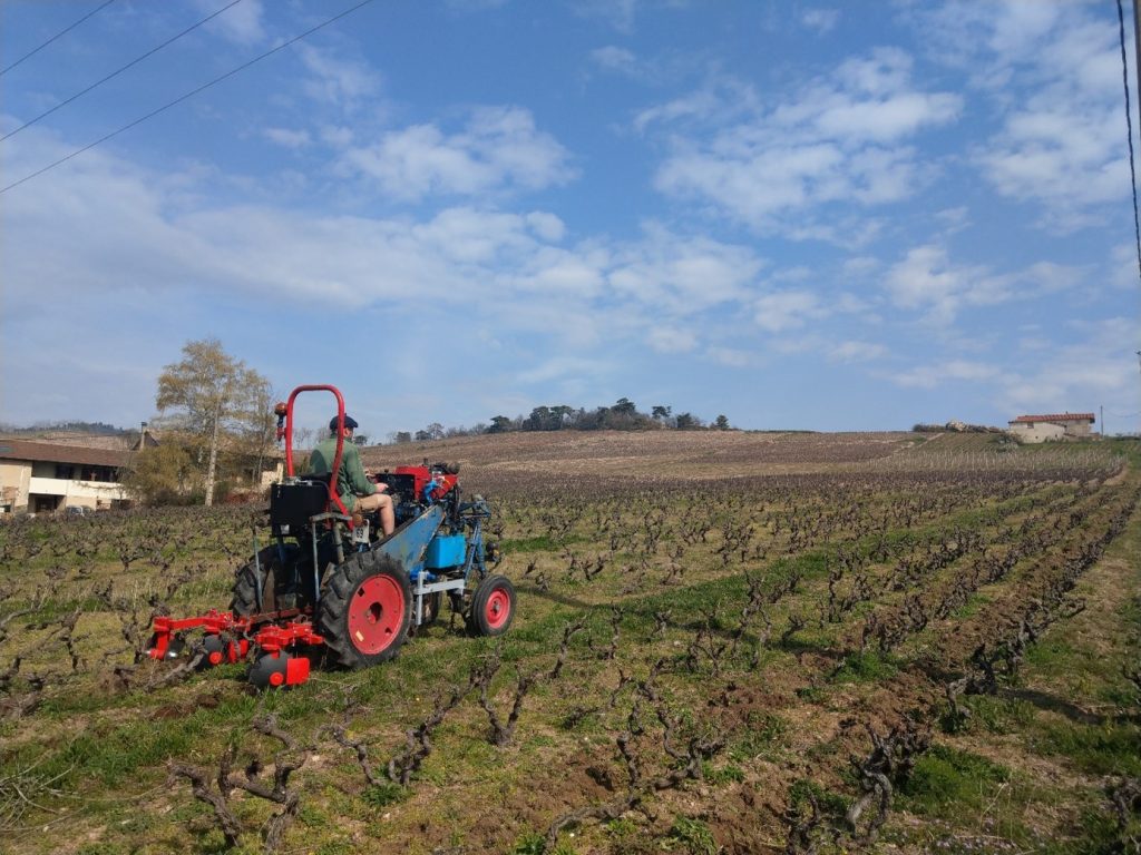 Grégoire Hoppenot vignes