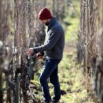 Domaine Ostertag | Quand l’art et le vin cohabitent en Alsace