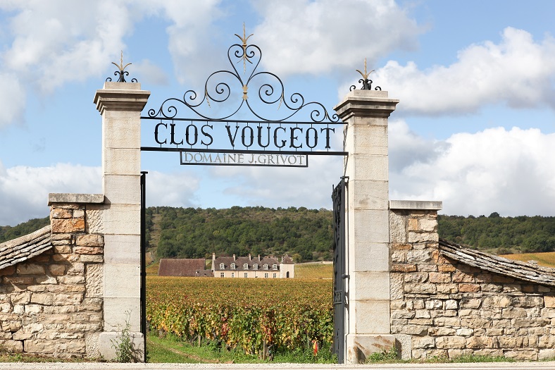 Pinot noir cepage international iDealwine Clos vougeot