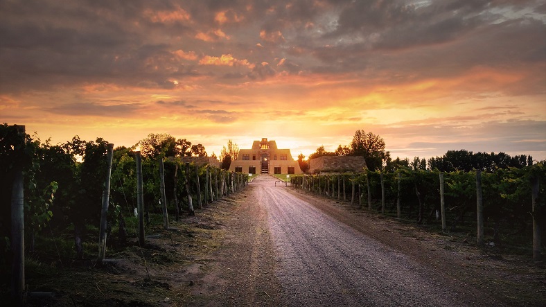 Laura Catena vin Argentine iDealwine domaine