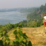 Le Muscadet | Crus, cépages, élevages… Zoom sur cette appellation montante