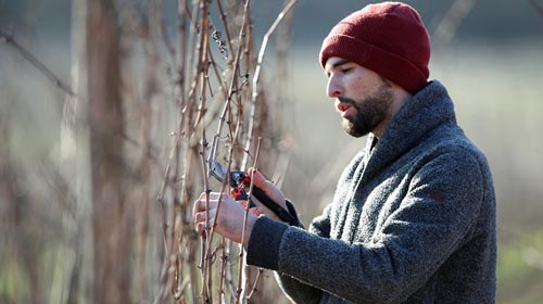 Lire la suite à propos de l’article Domaine Ostertag | Quand l’art et le vin cohabitent en Alsace