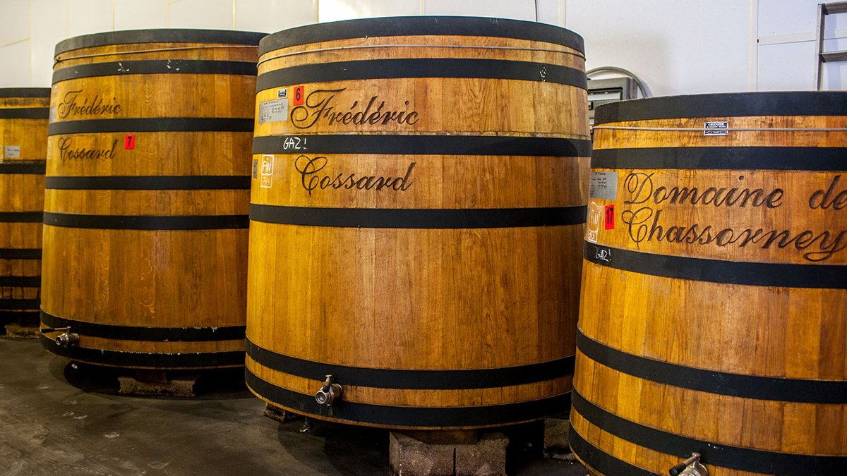 Lire la suite à propos de l’article Frédéric Cossard (domaine de Chassorney) | Un vigneron nature en Bourgogne