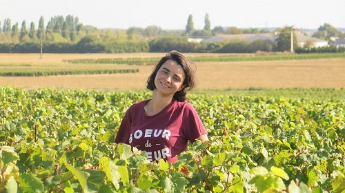 Lire la suite à propos de l’article Vendanges 2021 | Trois jours à Meursault