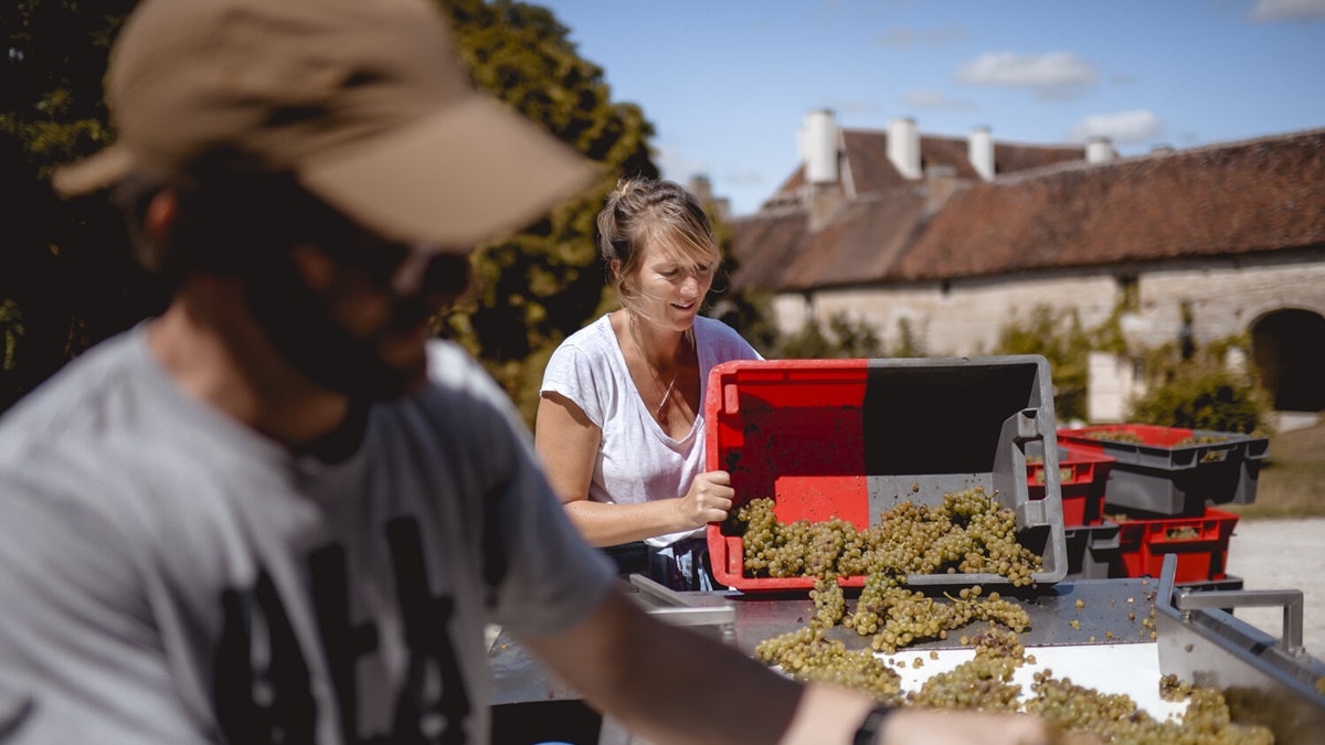 Lire la suite à propos de l’article Château de Béru | Chablis historique et biodynamique