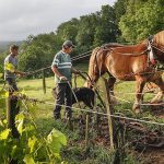 Château Le Puy, l’outsider bordelais