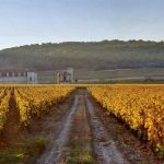 Grands crus de Bourgogne : le Clos de Vougeot, histoire et caractéristiques