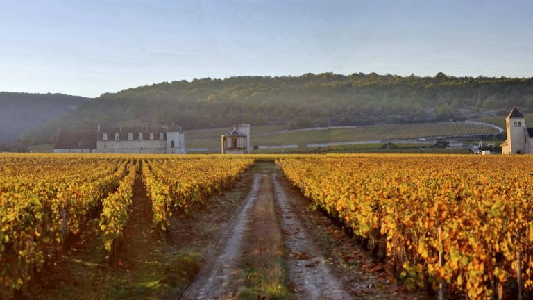 Lire la suite à propos de l’article Grands crus de Bourgogne : le Clos de Vougeot, histoire et caractéristiques