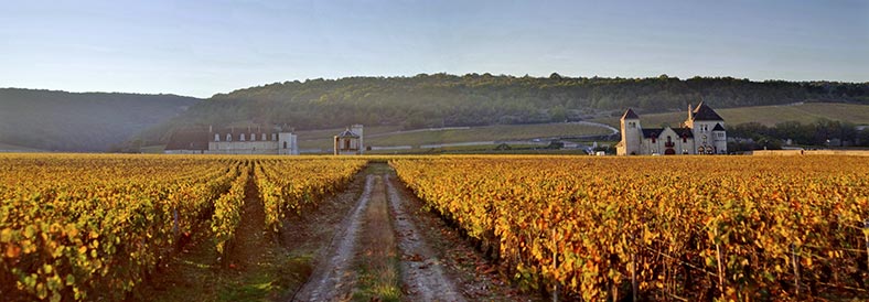clos vougeot