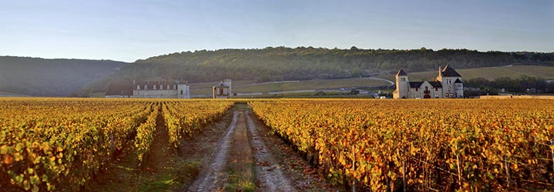 Clos-de-Vougeot Qu’est-ce que les trois Glorieuses ? vin iDealwine