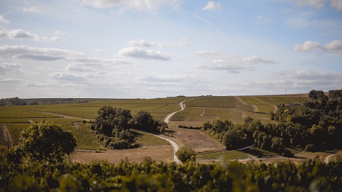 Lire la suite à propos de l’article Château de Béru | Chablis historique et biodynamique