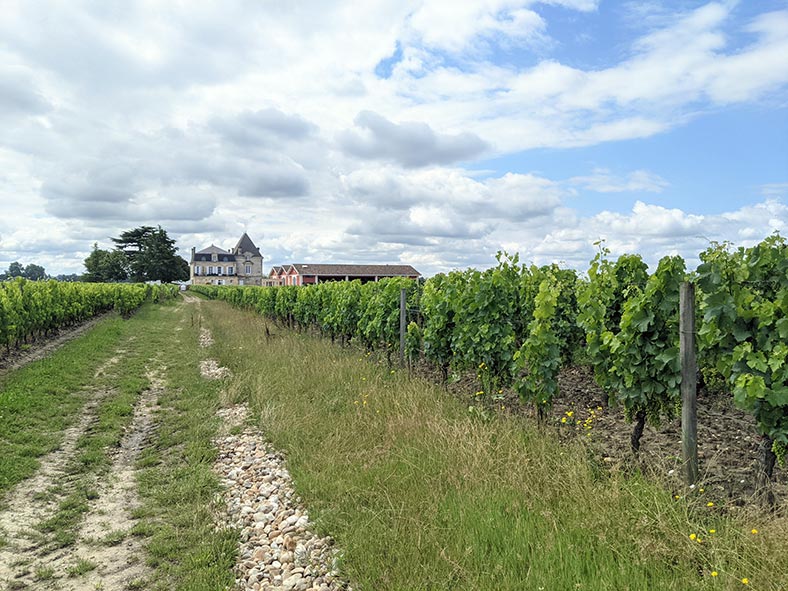 Enherbement-chateau-Evangile