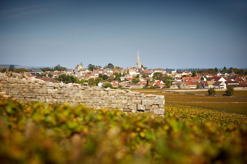 Genot Boulanger iDealwine vin Bourgogne 3