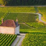 A la découverte de l’appellation Gevrey-Chambertin