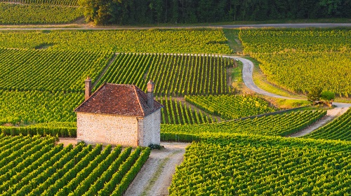 Lire la suite à propos de l’article A la découverte de l’appellation Gevrey-Chambertin