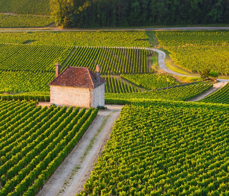 AOC Gevrey-Chambertin