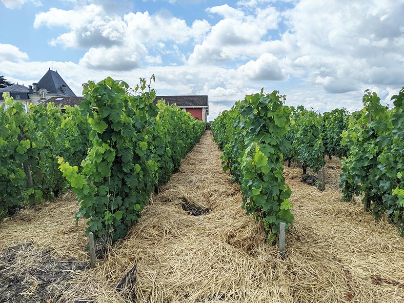 Paillage-chateau-Evangile