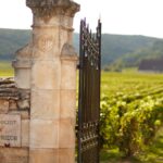 Le domaine Jacques Prieur, rare collection de terroirs bourguignons