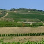 Domaine Hétszolo | Le fleuron du tokaji